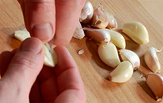 If you put the garlic on your hand, as popular recipes recommend, then this technique, of course, will not help with toothache in most cases.