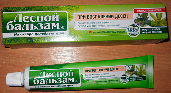 Toothpaste Forest Balsam With gum disease