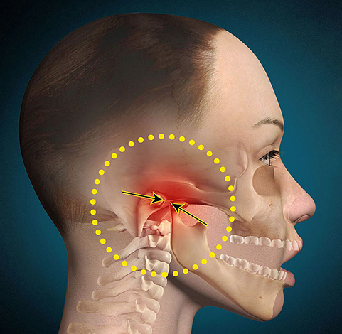 La condición de todo el sistema dental en humanos depende del correcto funcionamiento de la articulación temporomandibular.